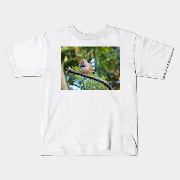 Zebra Finch Kids T-Shirt by kchase